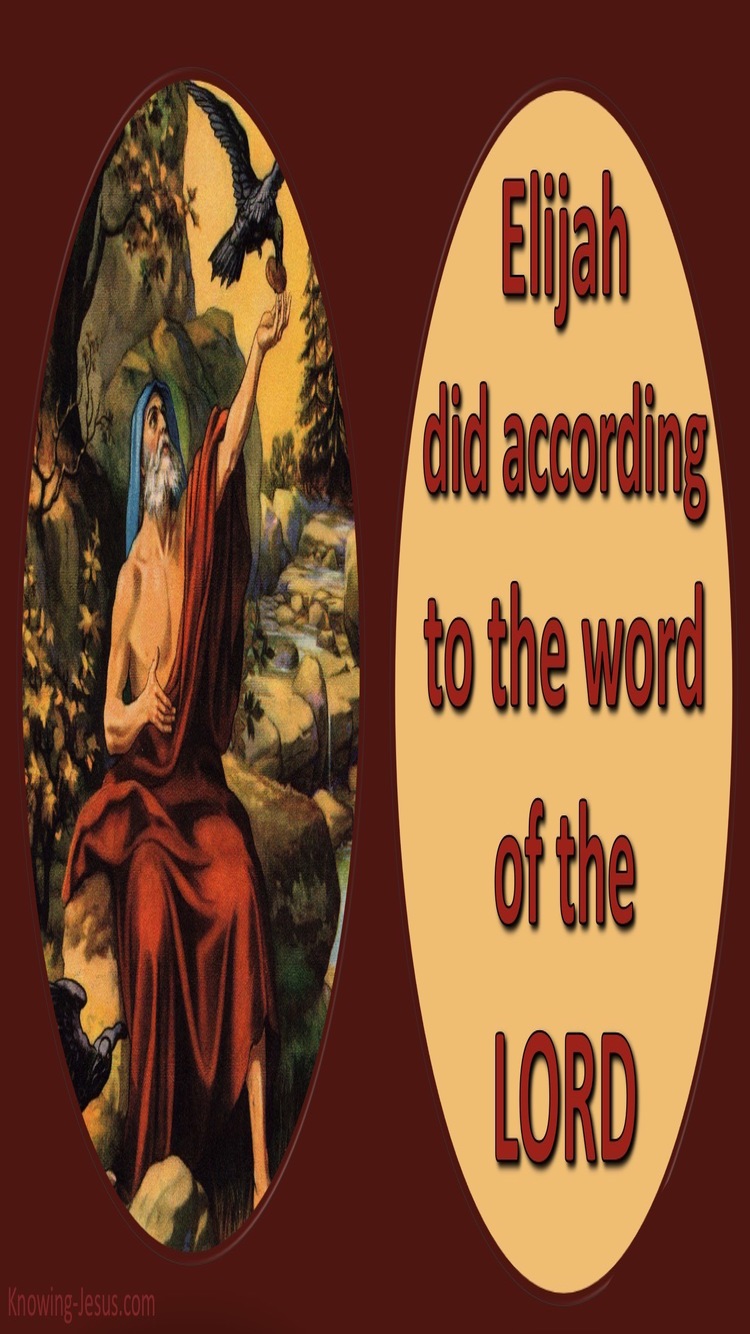 1 Kings 17:5 He Did According To The Word Of The Lord (brown)